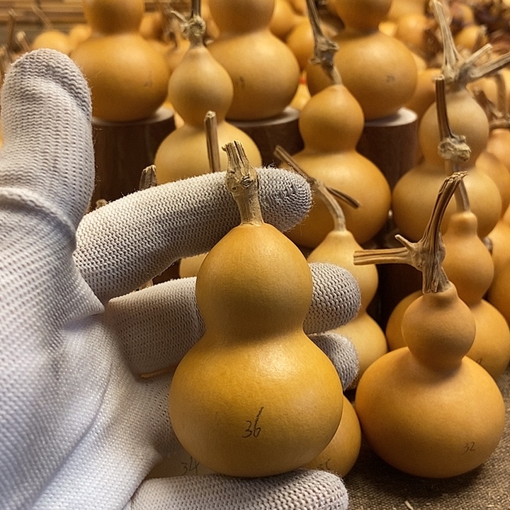 文玩葫芦 完美主义者 慎拍36