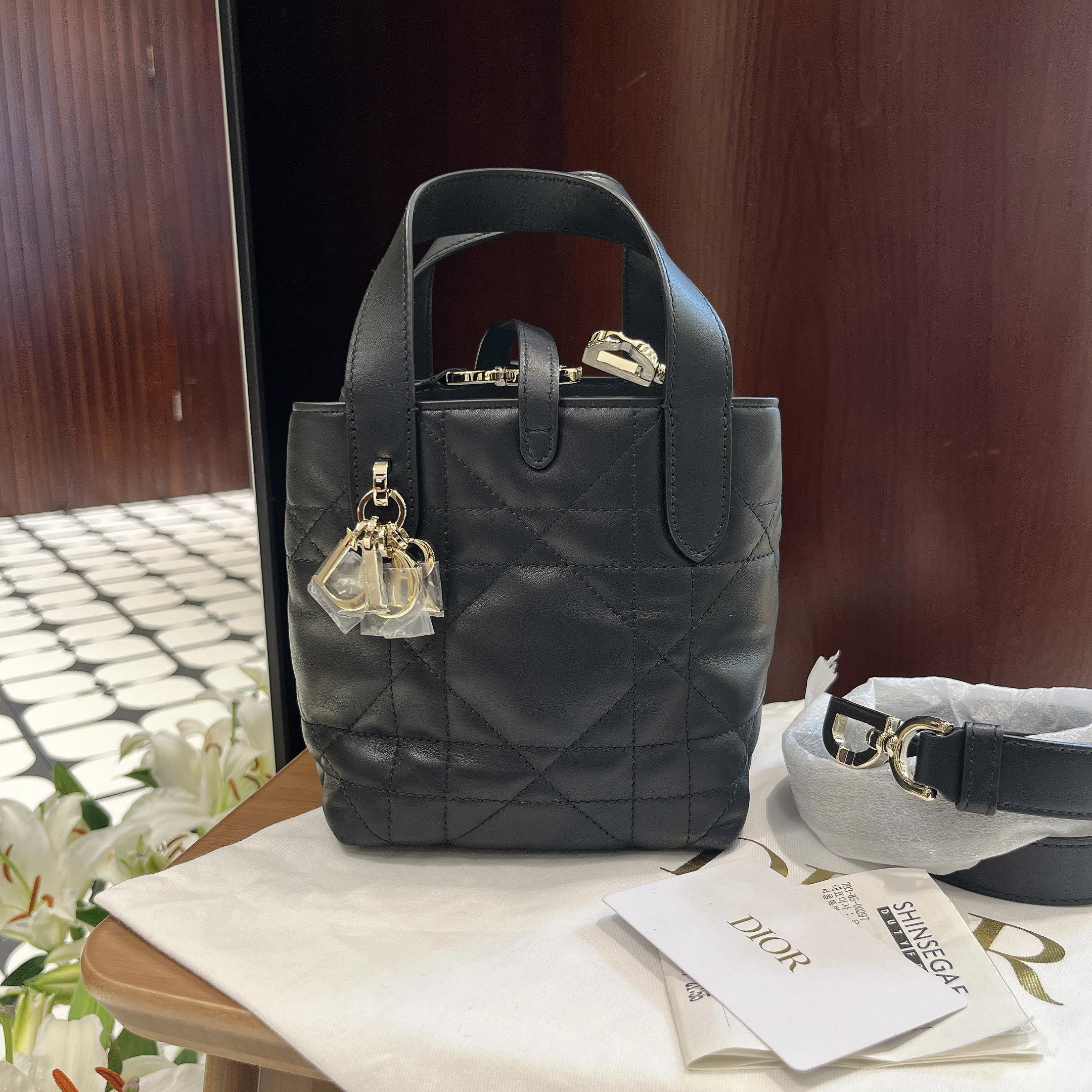 未使用 DIOR/迪奥 一泽/toujours竖版nano单肩包/25年票/3005C