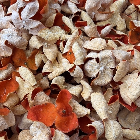 柑橘农家自晒川红橘皮1斤净重带花癍带麻点不好看慎拍