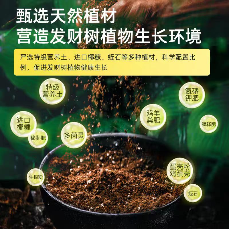 发财树泥炭型营养土养花专用养花种菜育苗适用泥炭土盆栽种植土