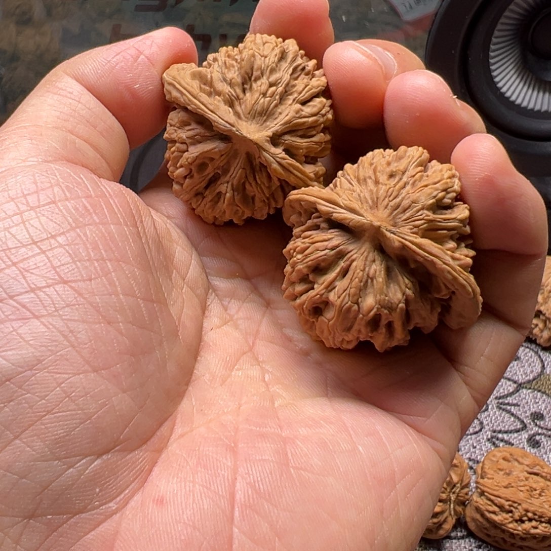 G***。吊坠龙脊菩提四座楼