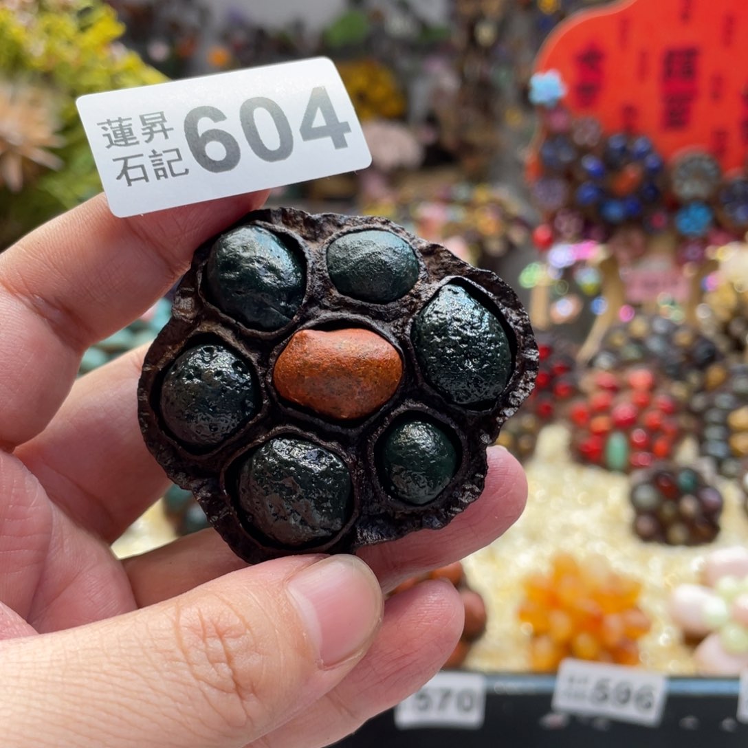 核桃木/黑胡桃（胡桃木）604 