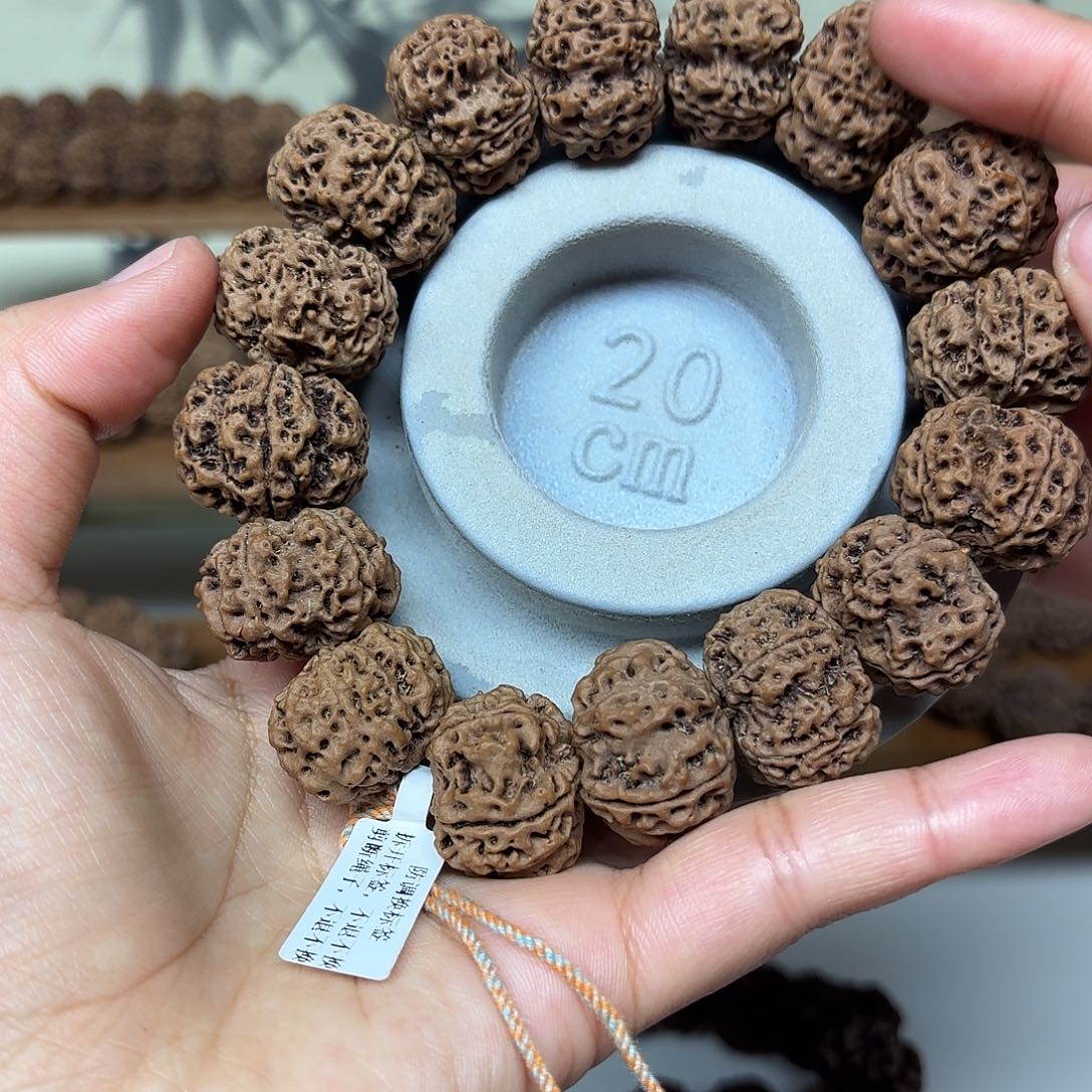 吊坠金刚菩提24原生态大金菩提树籽