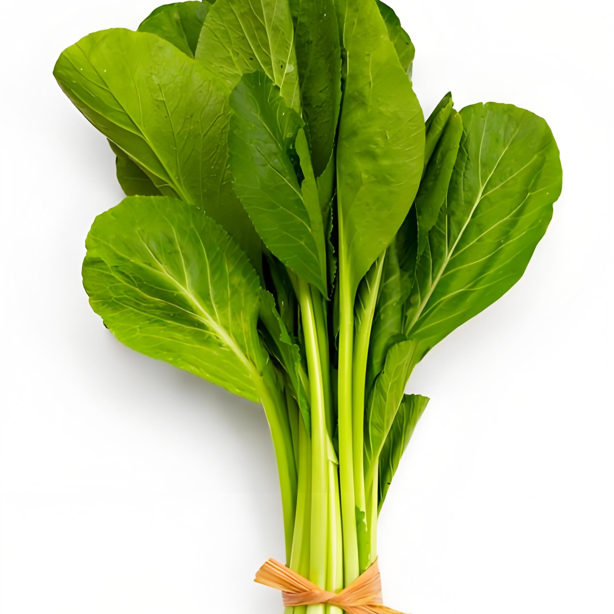 大青菜500 克【好东西】