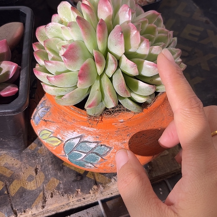 晶5788998889在8899