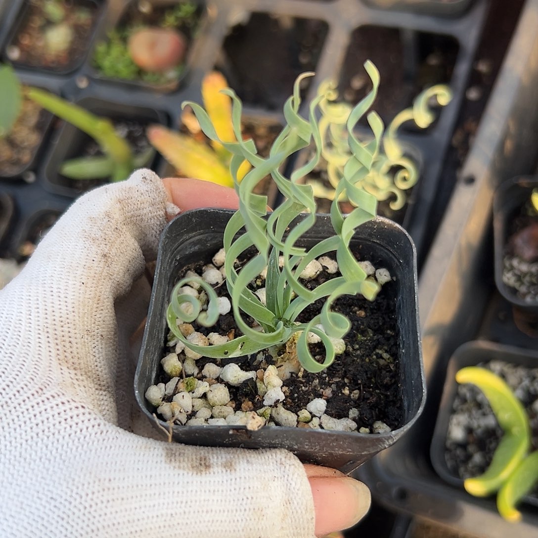 多哦哦哦哦哦哦哦哦哦