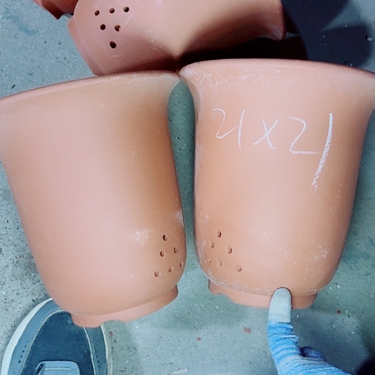 红陶知道现在小时