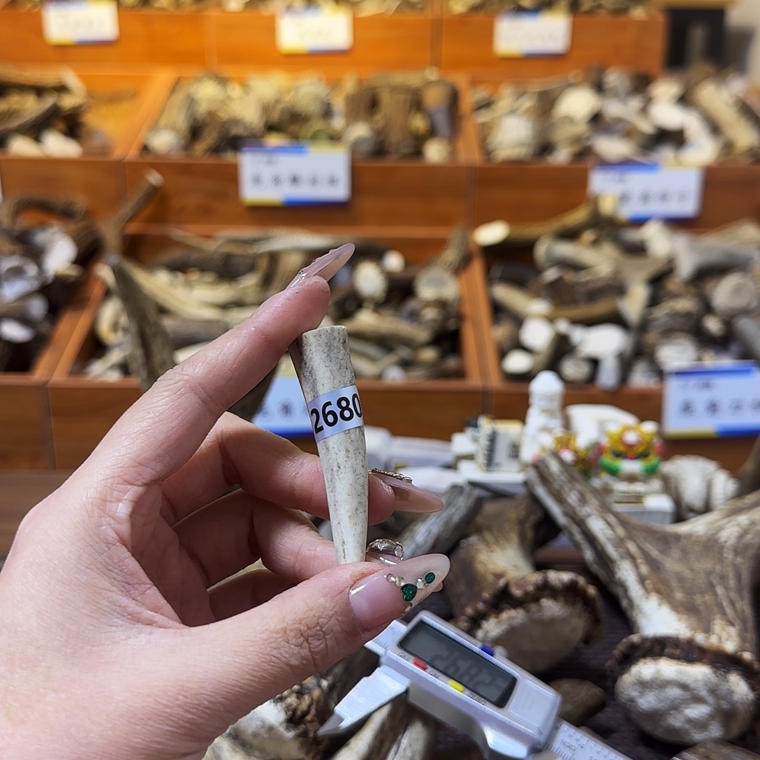 手串/手链鹿骨梅花鹿角尖