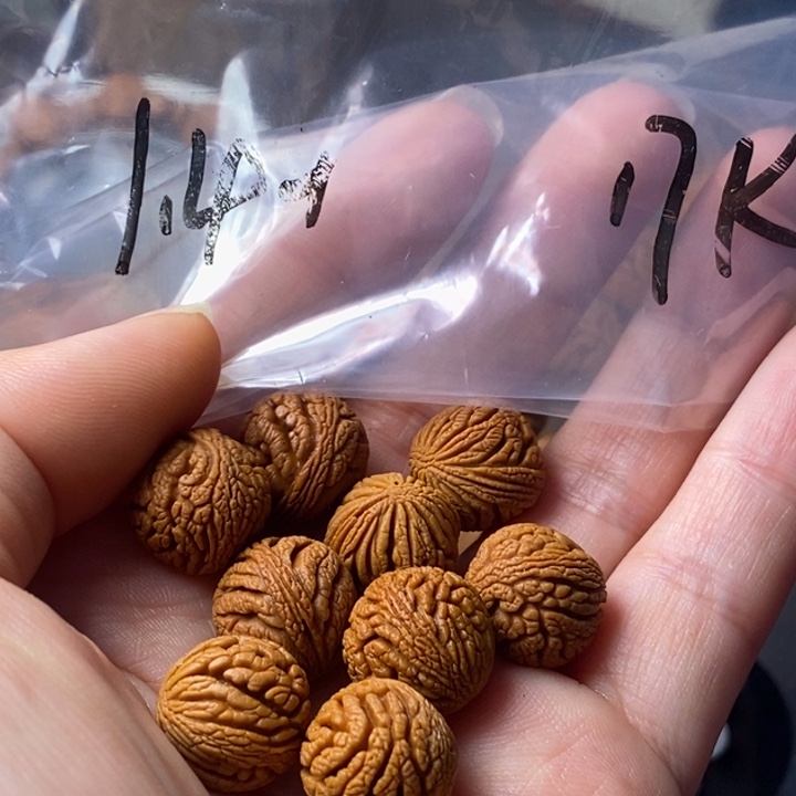 手串文玩核桃秦岭野生龙纹桃核14