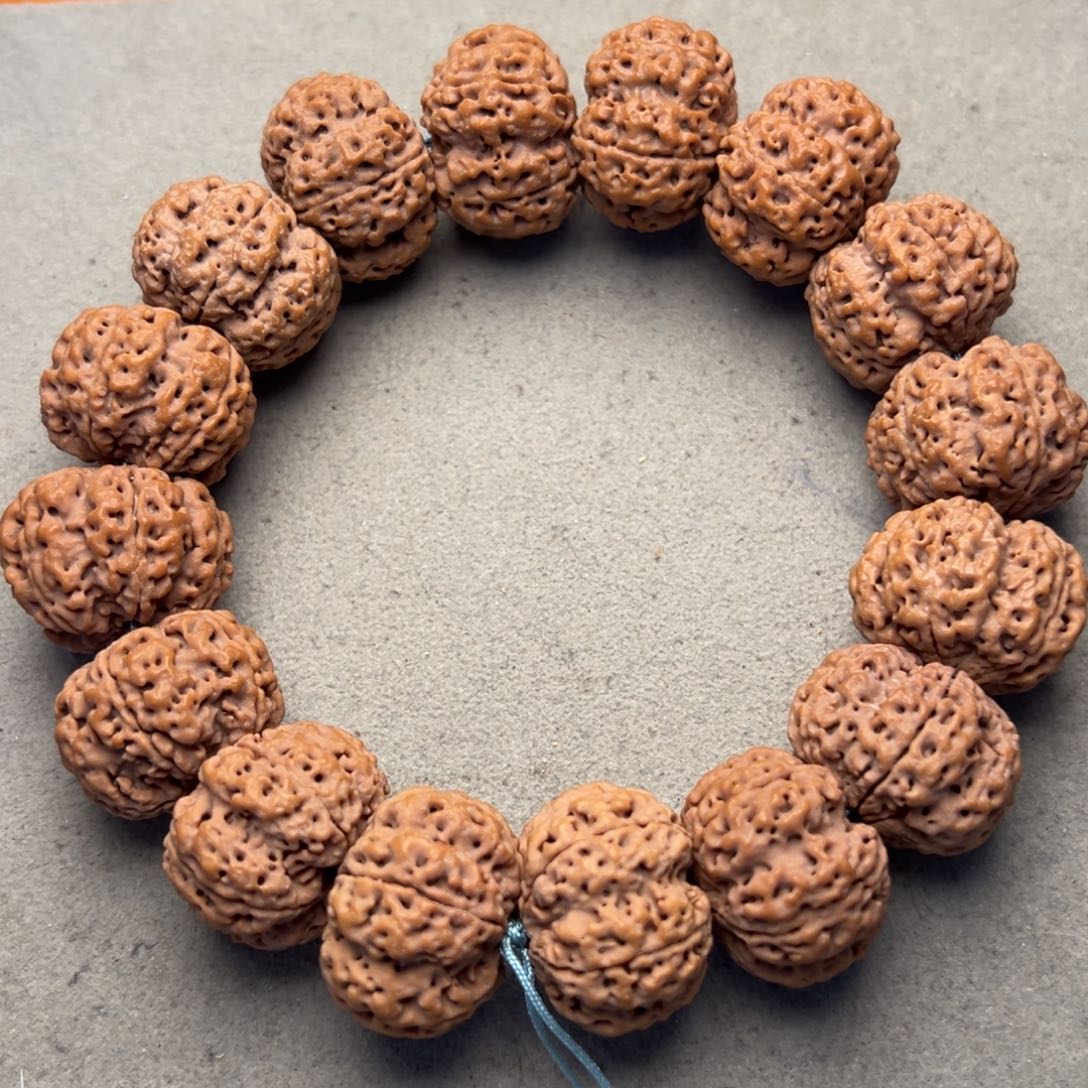 菩提13号金刚菩提龙牙梅花23