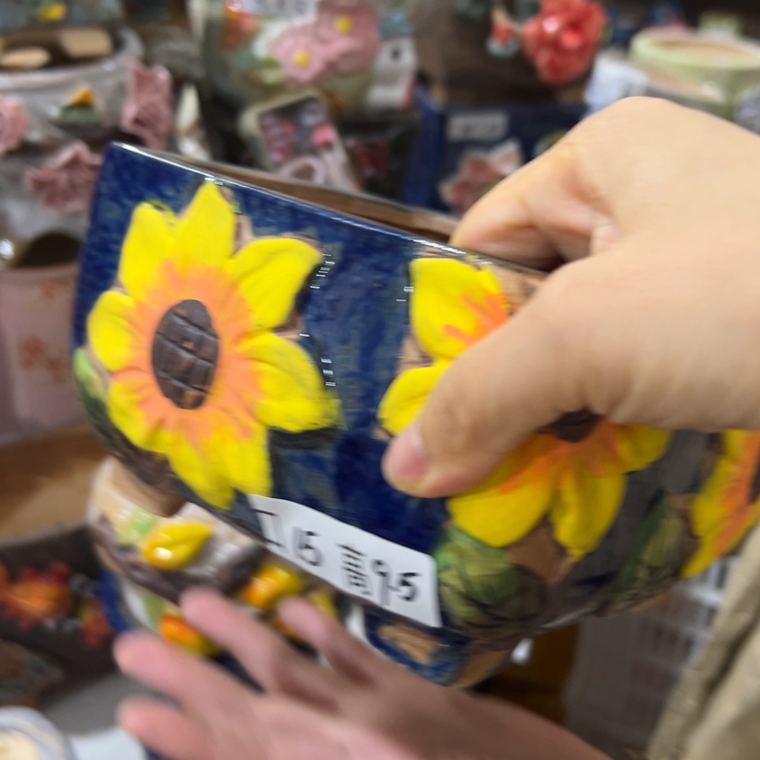 满20米飞秒退拉黑多肉花盆