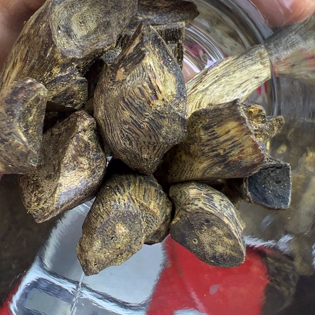 线香奇楠虫漏香20克