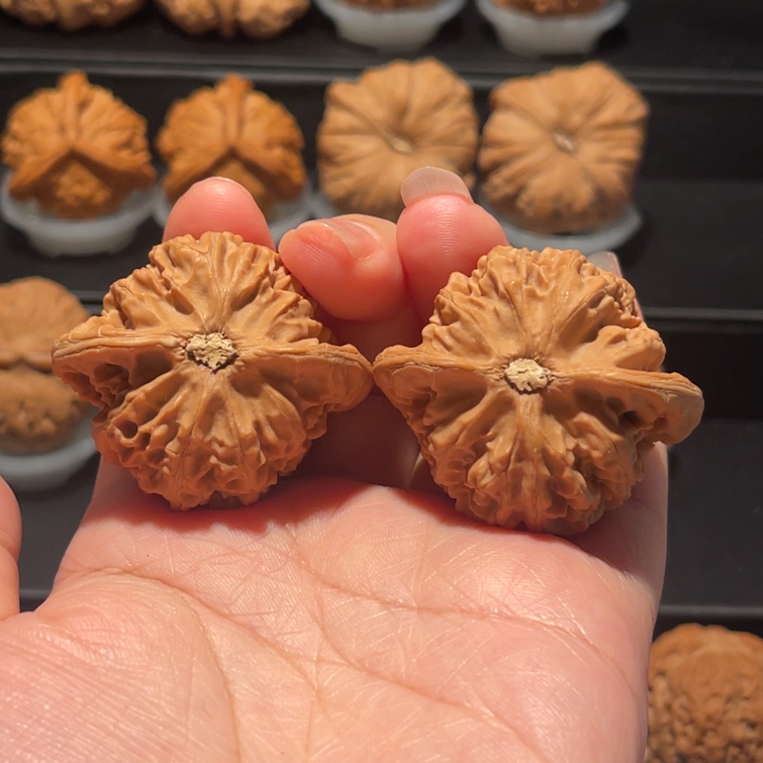 观***念精品，货头，42宫灯237