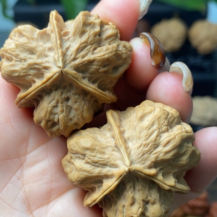 吊坠文玩核桃金尊龙脊三棱