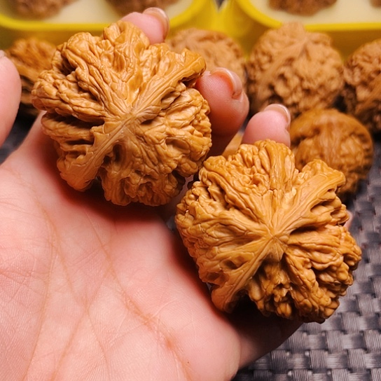 文玩核桃平谷粗筋