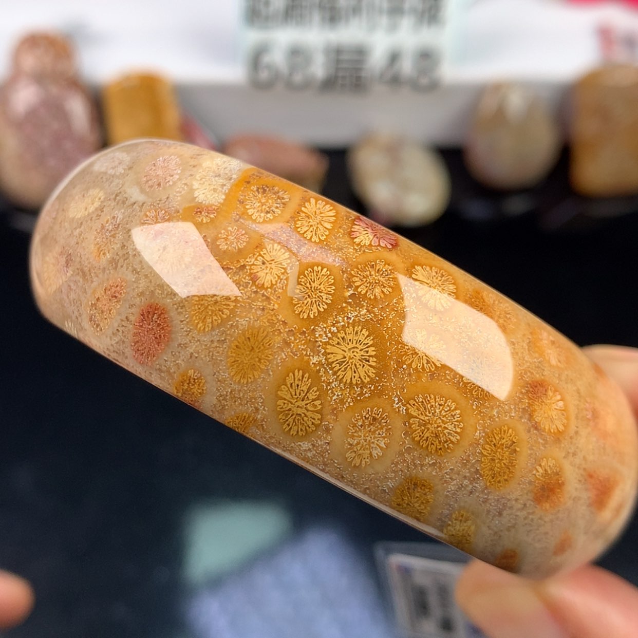 【闪购商品】硅化珊瑚（珊瑚玉）手镯未镶嵌（36号）60圈