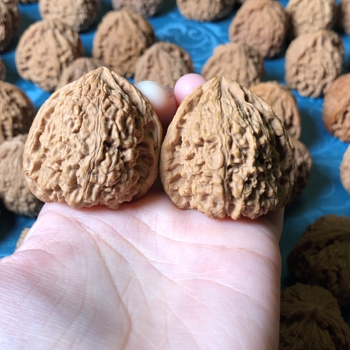 【闪购商品】文玩核桃把件豆*一代将