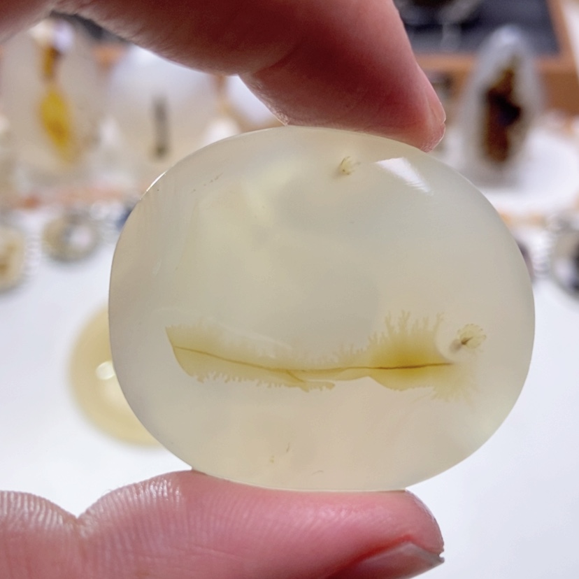 【闪购商品】玛瑙/玉髓颈饰未镶嵌