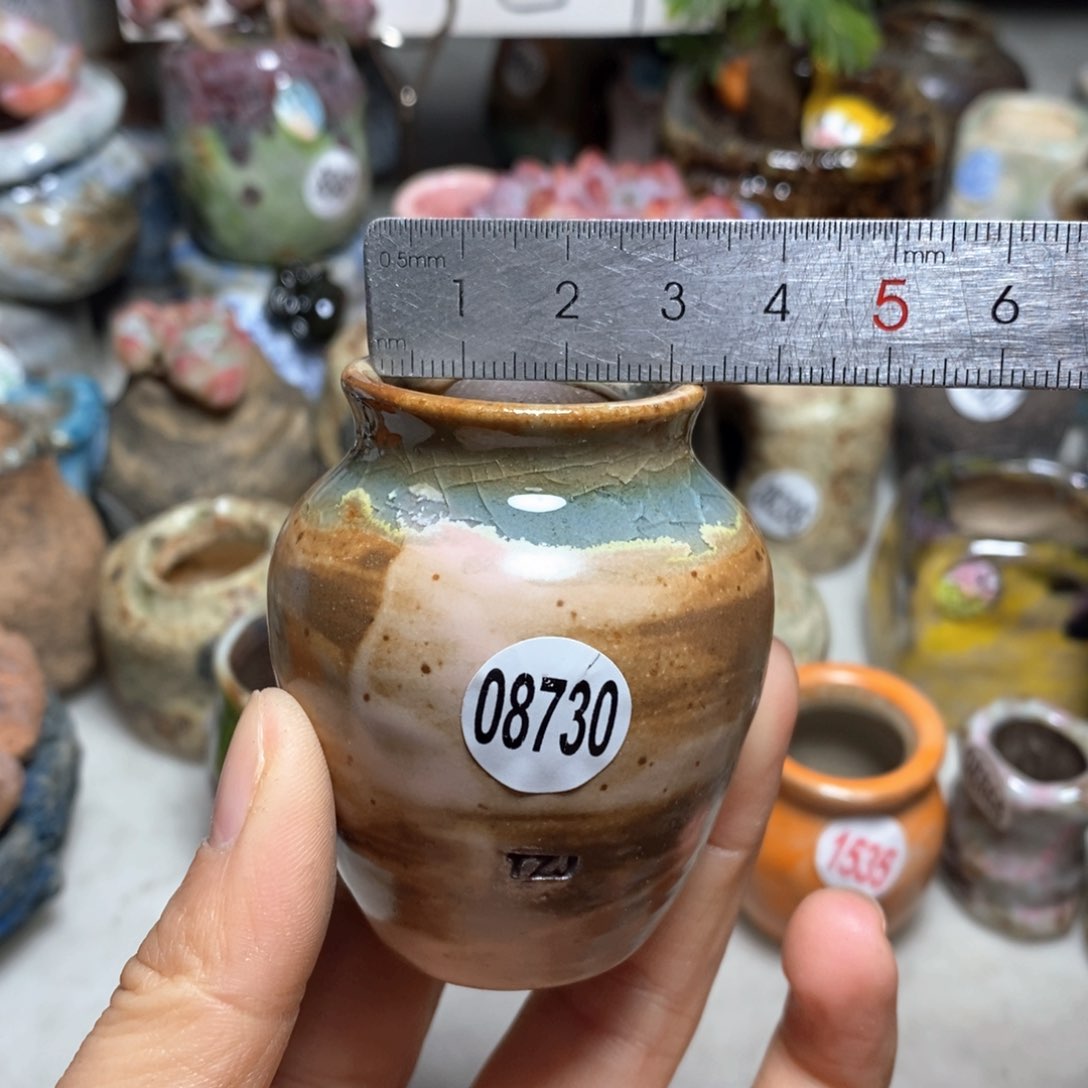 轻***笑花盆拍5送一个小礼物