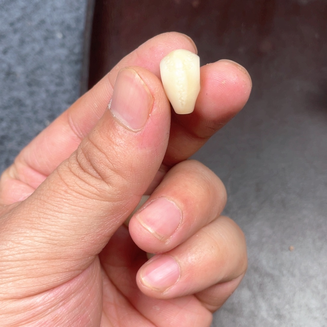 驼骨手串/手链编号22