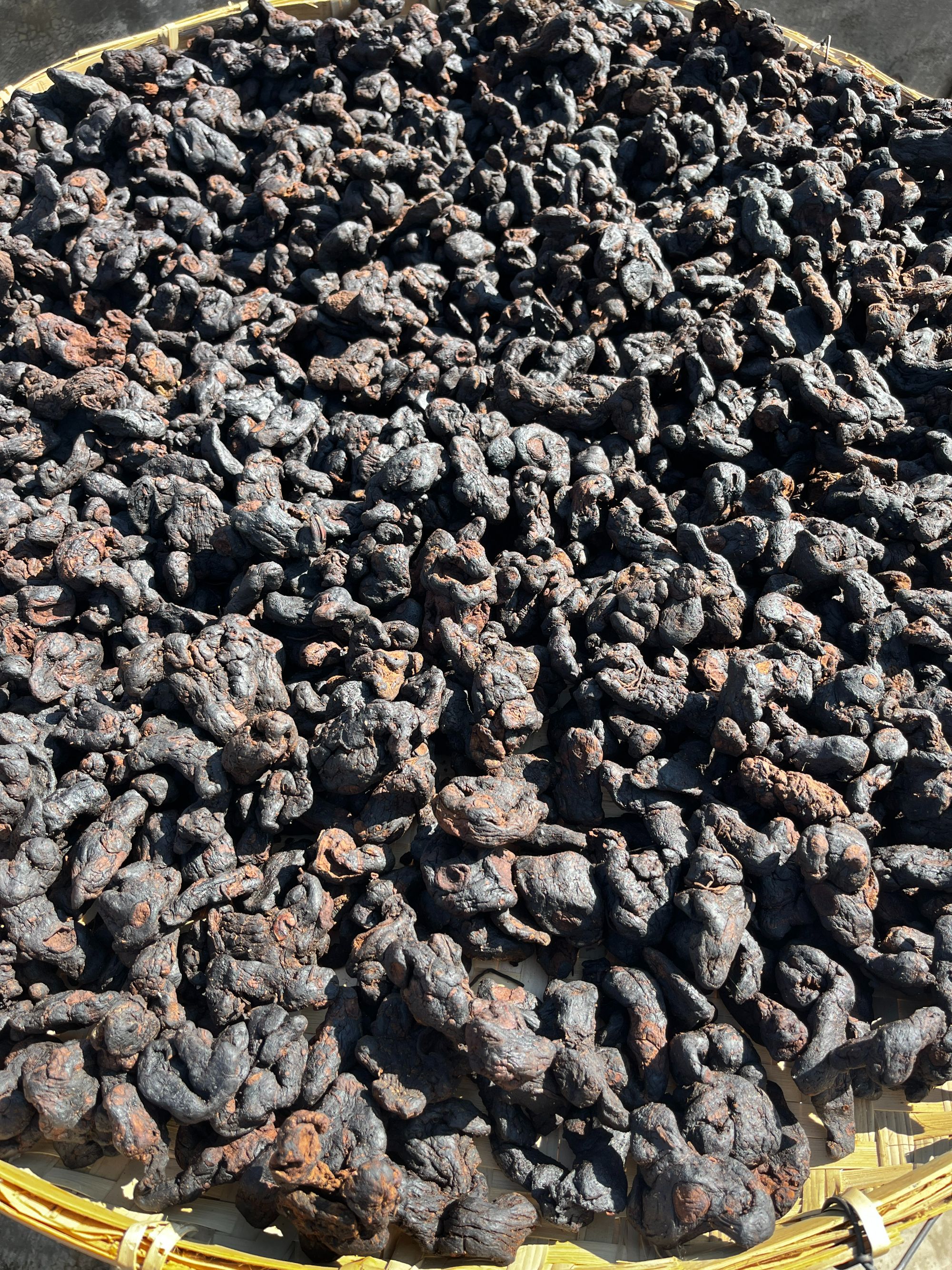 【老乡山货】大山挖的土特产 自己蒸晒 即食泡水煲汤煮水泡酒 1