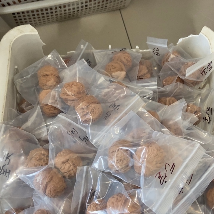 吊坠文玩核桃元宝瑕疵