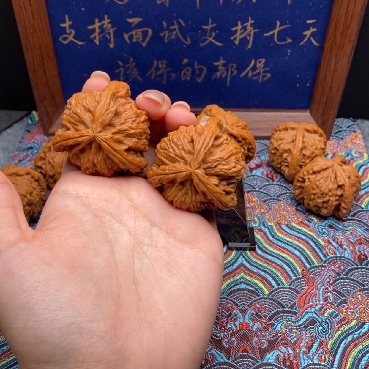 【闪购商品】二*白狮