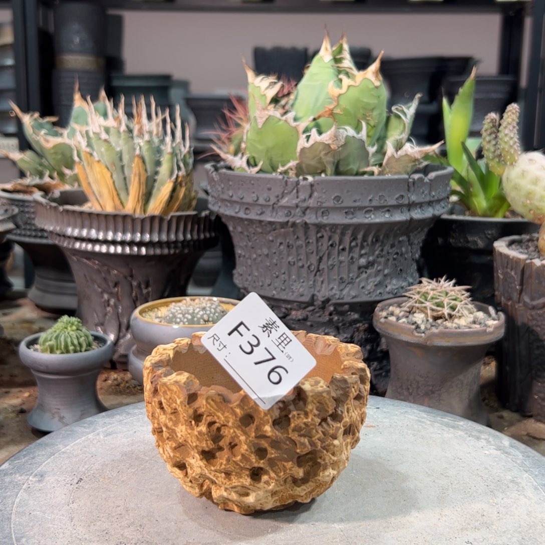 景德镇手工素里内口8高7