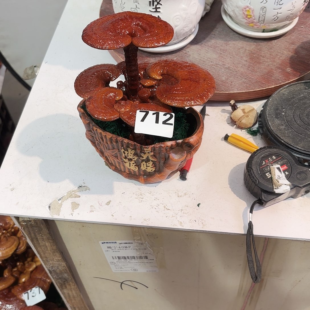 巩***善无花朵灵芝88888888888888888