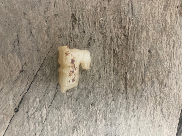 和田玉小玉兽一个