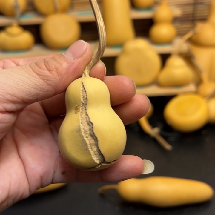 向*葫芦葫芦葫芦葫芦葫芦