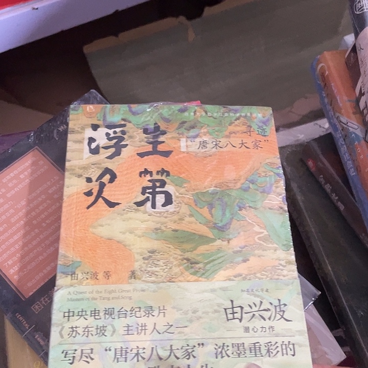 浮生第次：微瑕单.