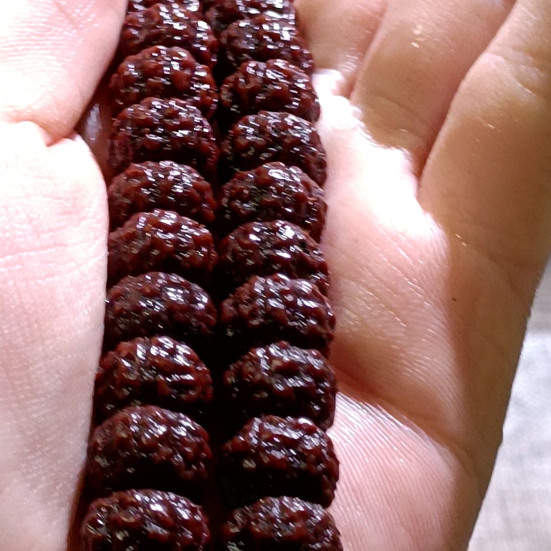 吊坠金刚菩提藏切盘龙纹11.7mm