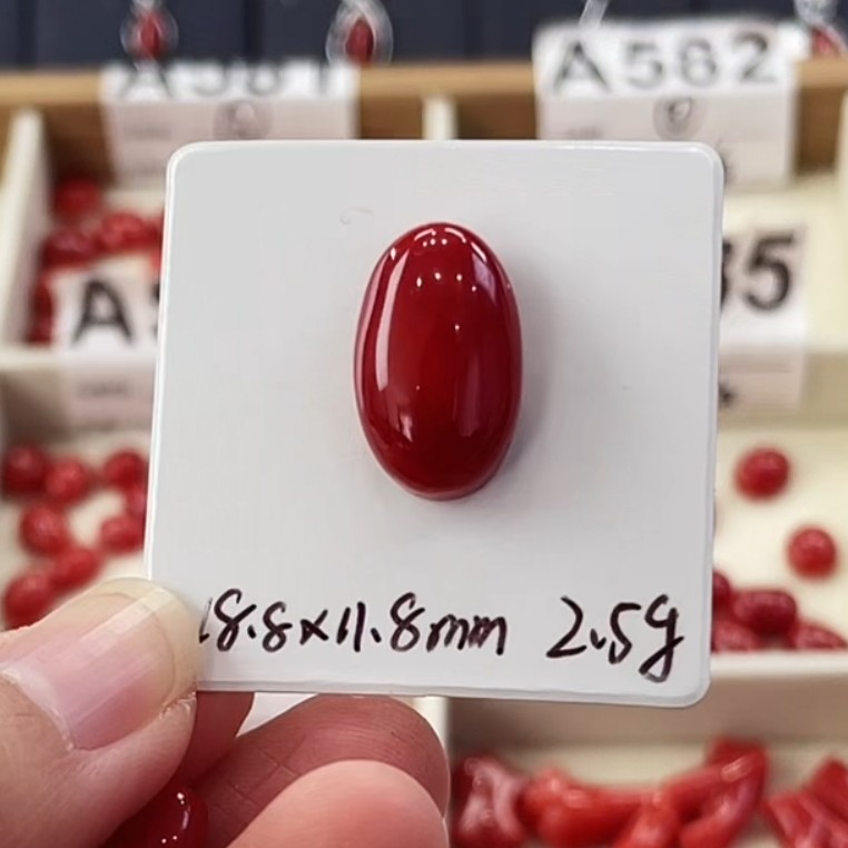 天然宝石红珊瑚裸石