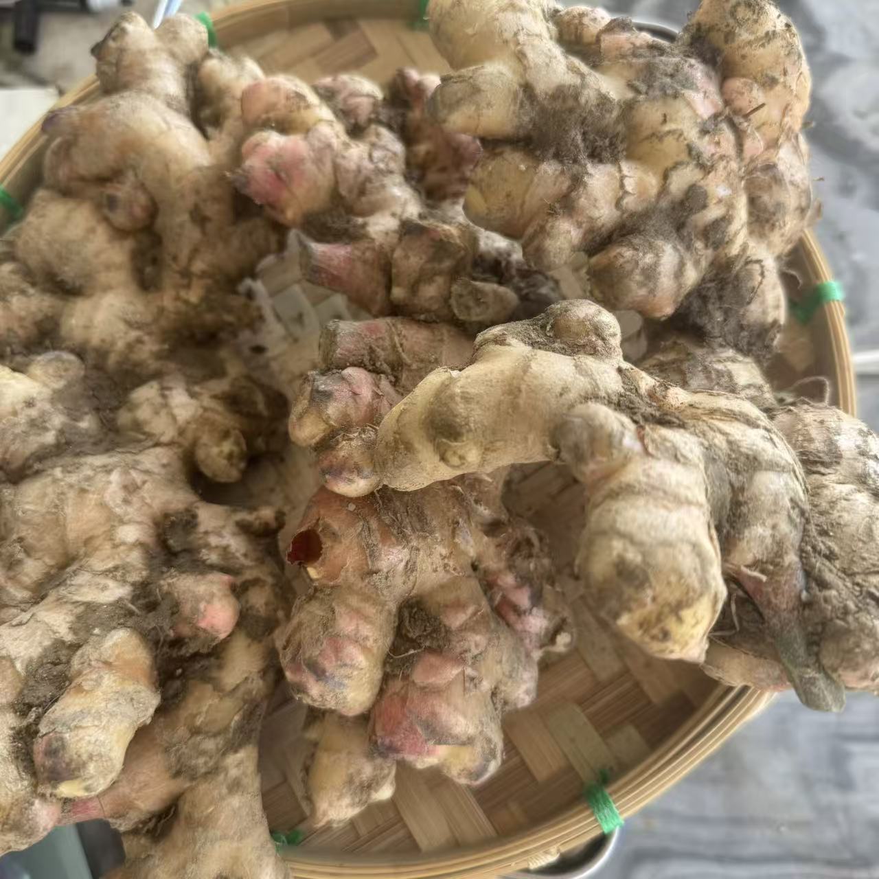 正宗生姜 可炒菜泡水