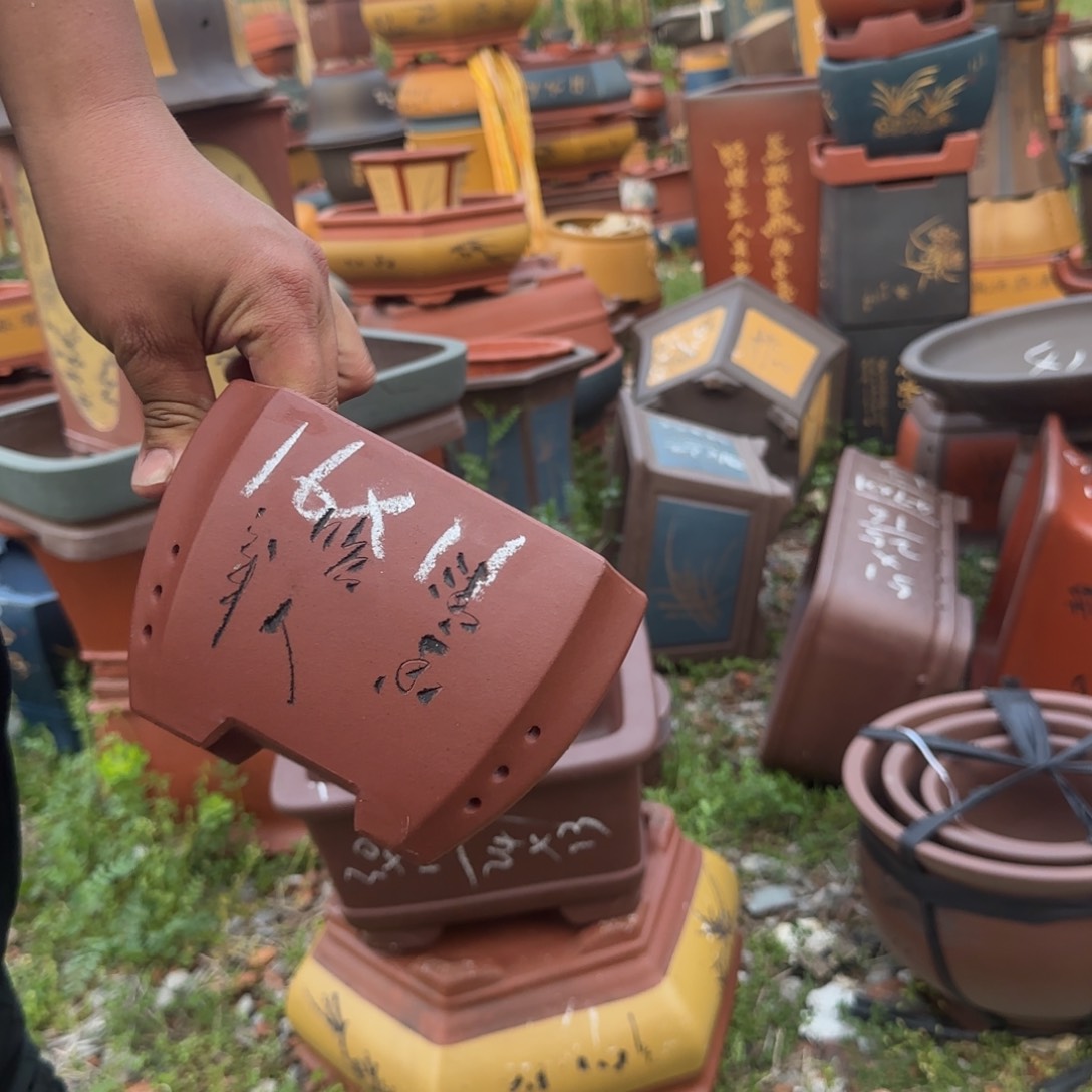 紫砂花盆花盆盆景盆栽