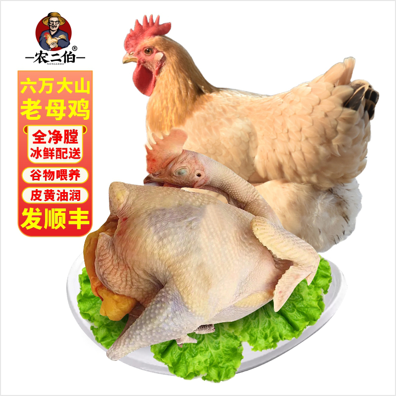 【老母鸡 1只 】节日新年月子炖老母鸡汤营养美味广西玉林散养土鸡