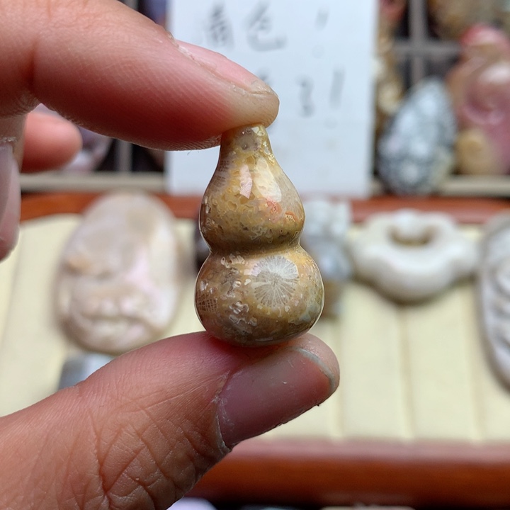 硅化珊瑚（珊瑚玉）颈饰未镶嵌