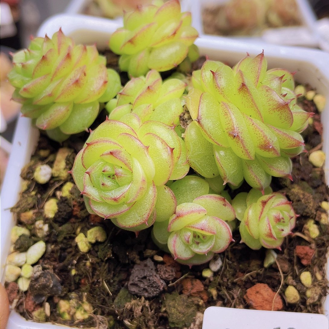 00000000000013量拍