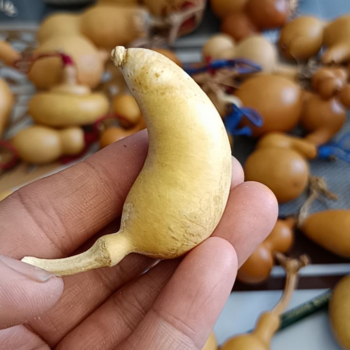 爱*惠葫芦葫芦葫芦葫芦葫芦葫芦