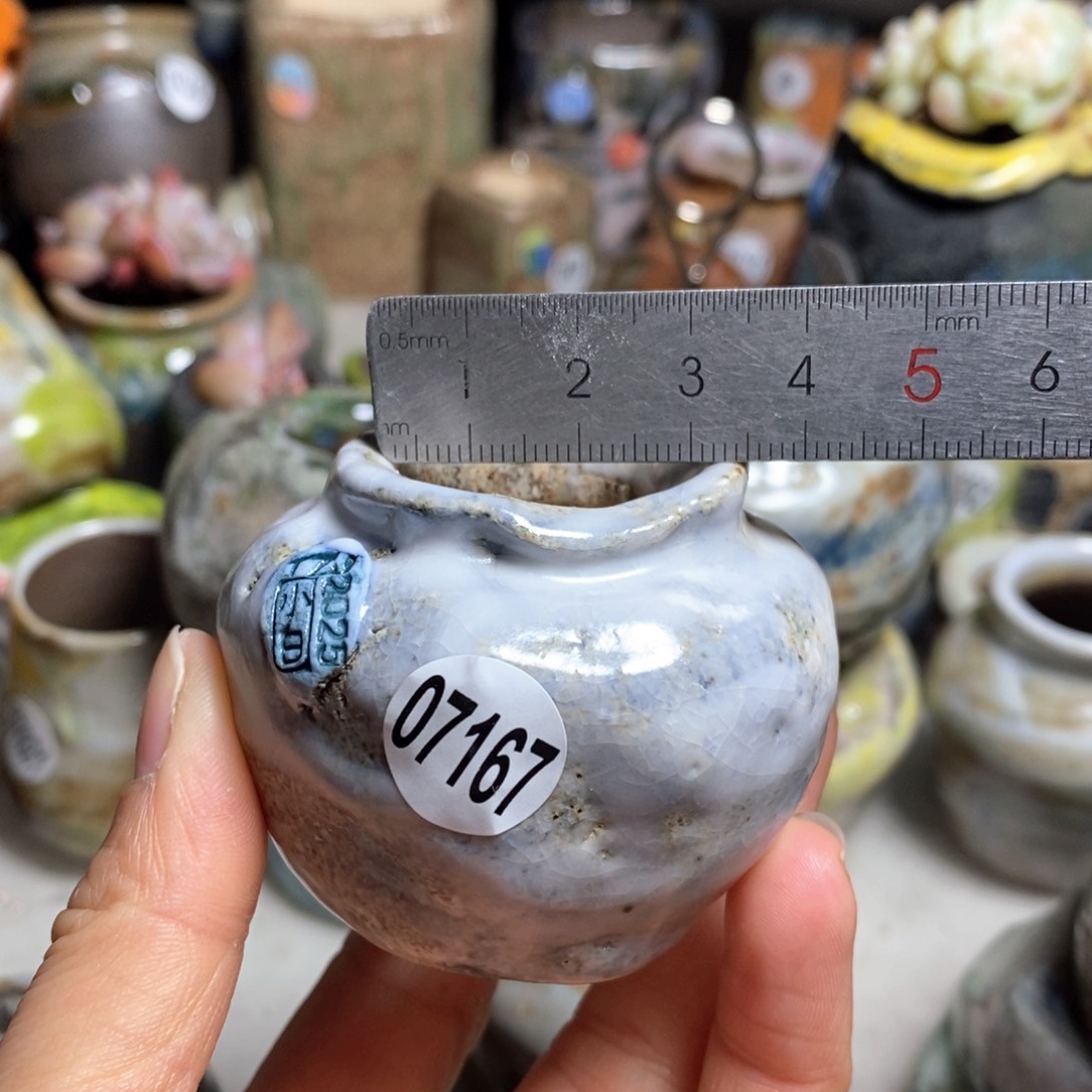 花盆拍3送一个小礼物