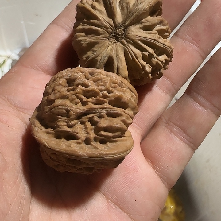唐***馆香榧木ghghvvvbbbbbbbb