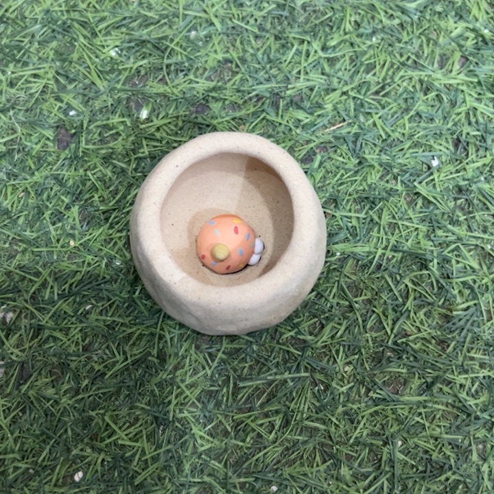 好***糖特价多肉花盆百搭