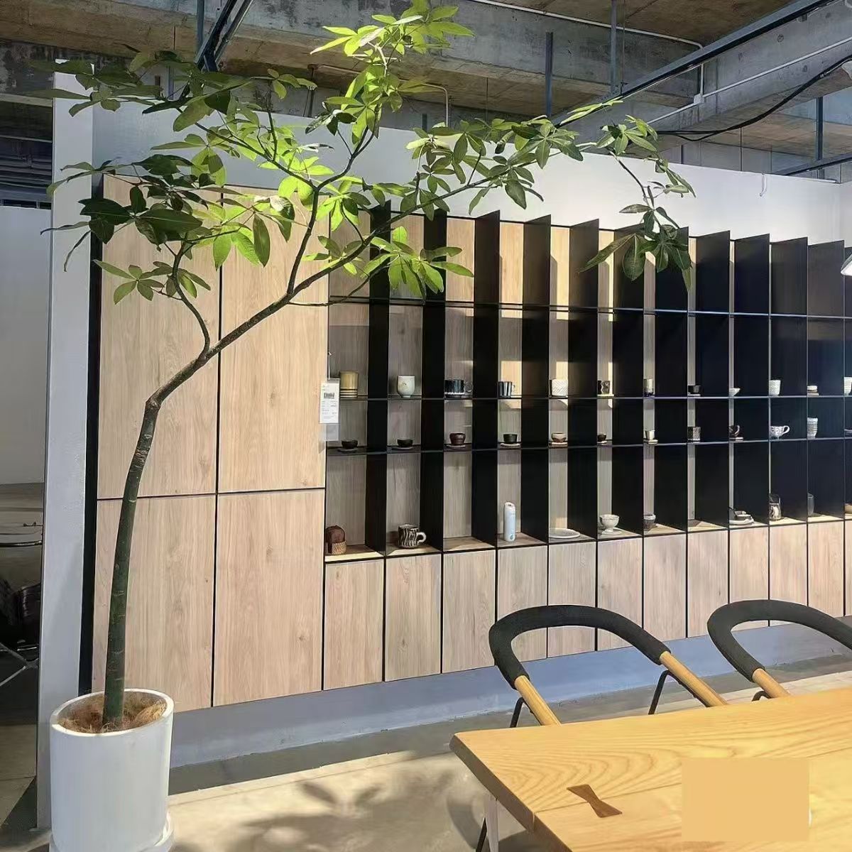 原生老桩发财树室内沙发绿植净化空气办公室懒人盆栽客厅观叶植物