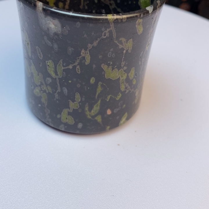 汝阳梅在玉厂家直销主人杯