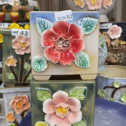 【闪购商品】红陶1