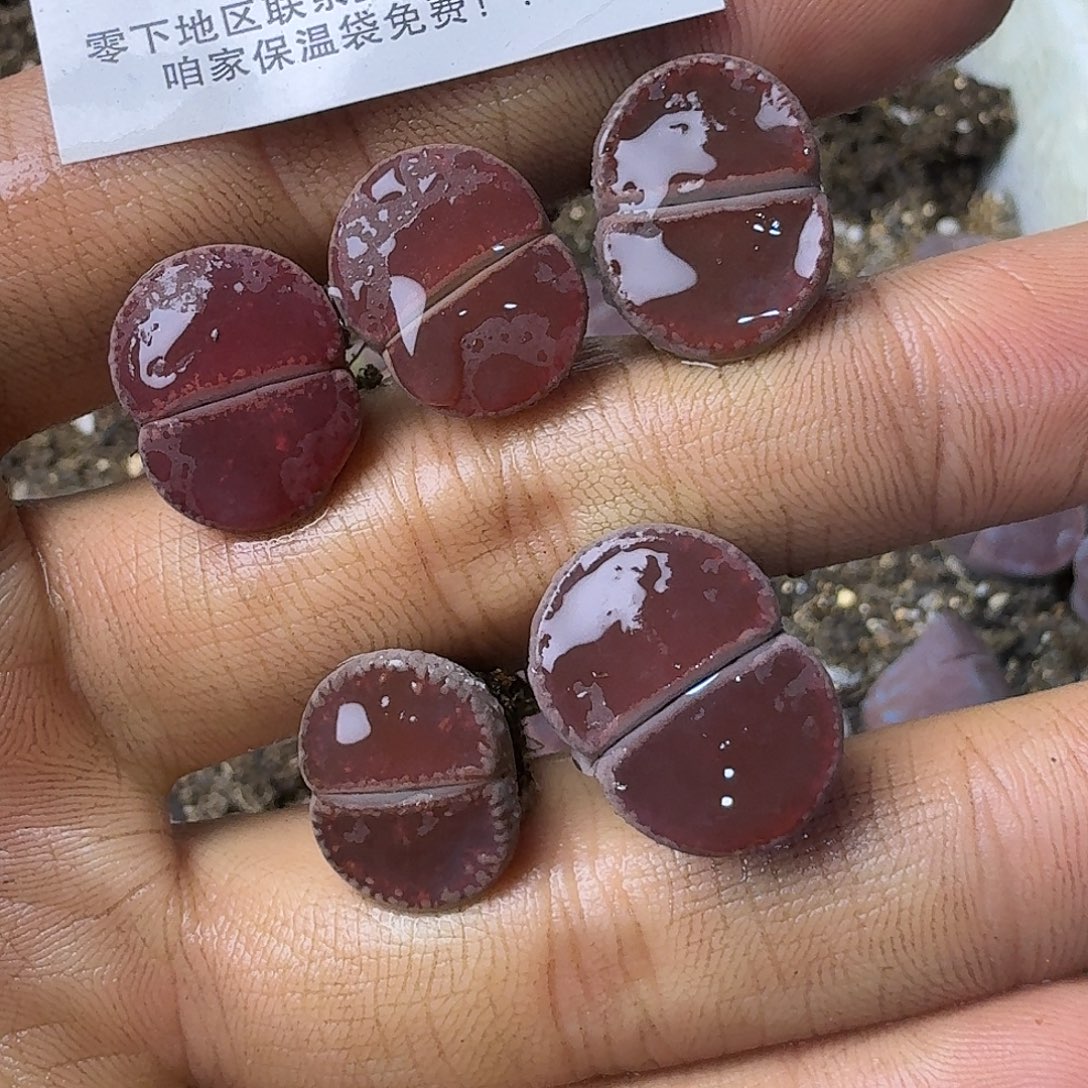 2132 哈哈哈哈哈哈哈哈