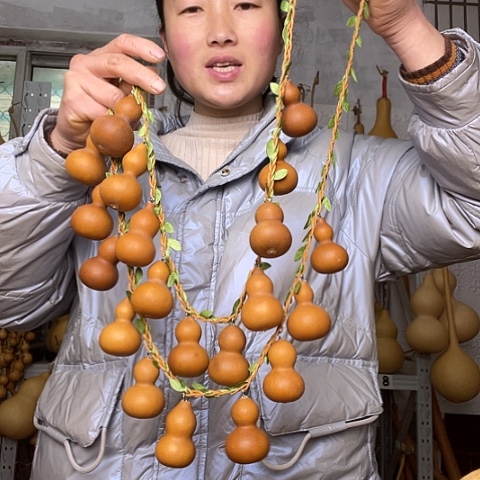 天然植物葫芦文玩