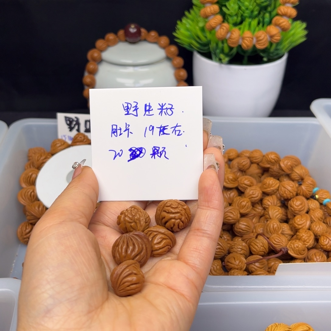 桃核吊坠野生籽19尺寸