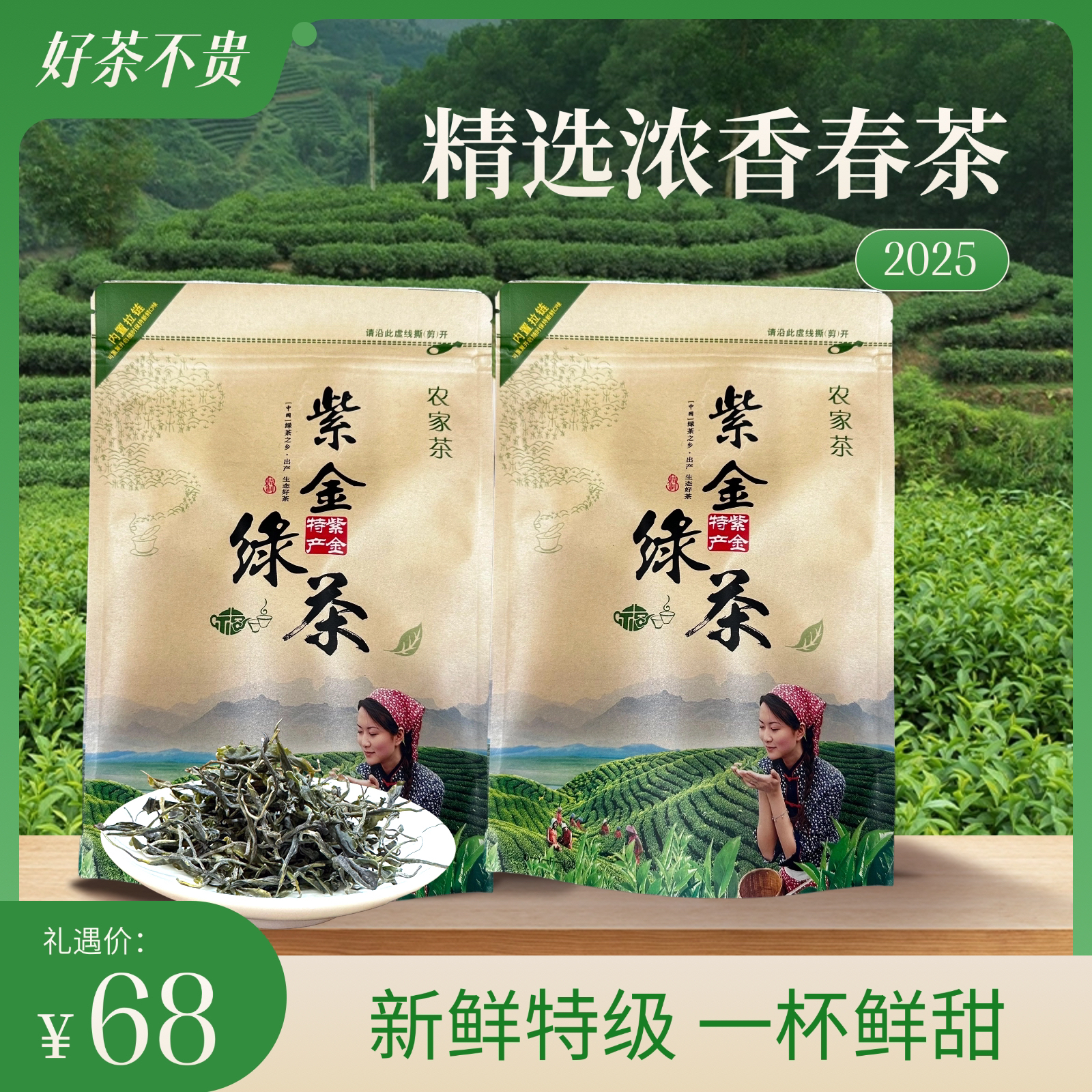 浓香春茶｜2025紫金毛尖绿茶｜清香型｜鲜爽回甘｜净含量150g*2